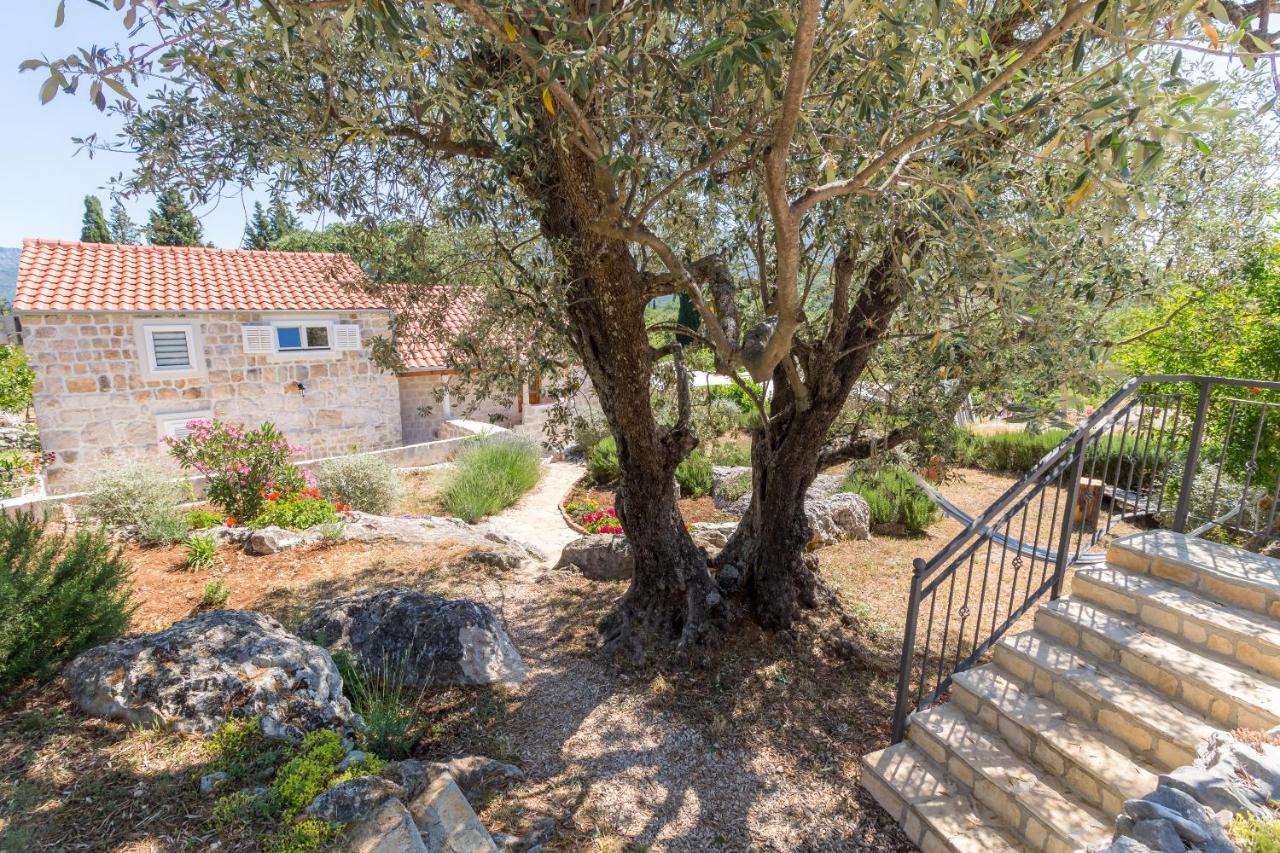 דירות סטון Olive Garden מראה חיצוני תמונה