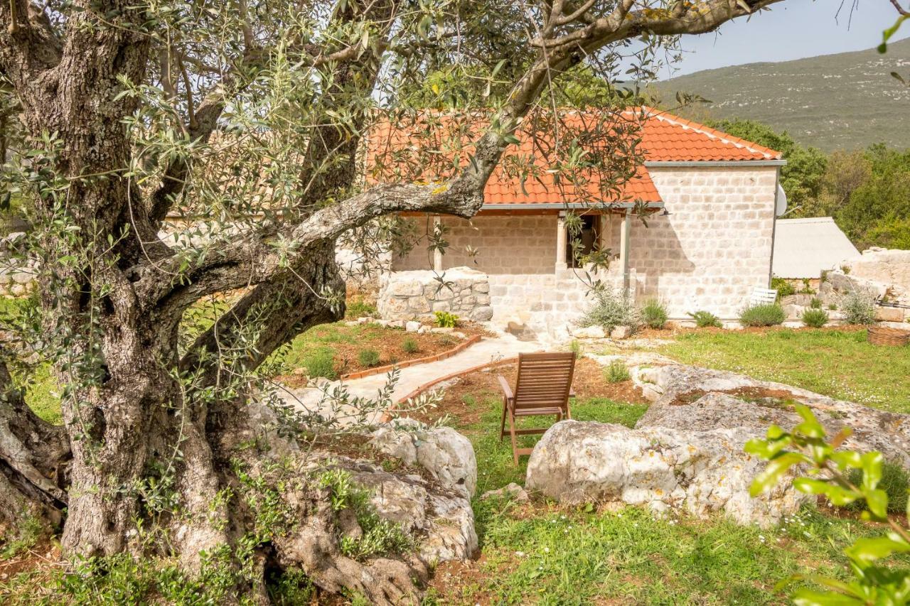 דירות סטון Olive Garden מראה חיצוני תמונה